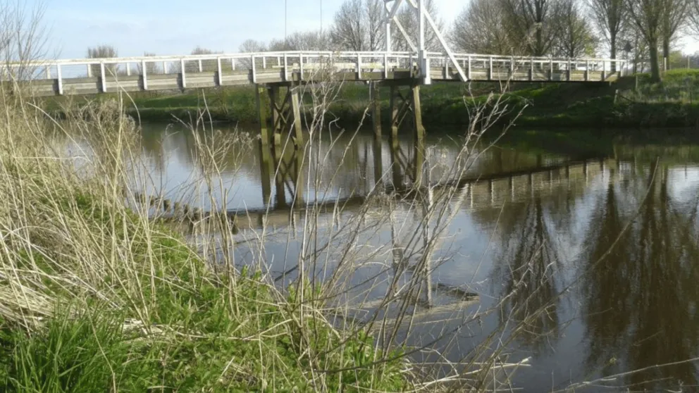 Veel natuur dichtbij