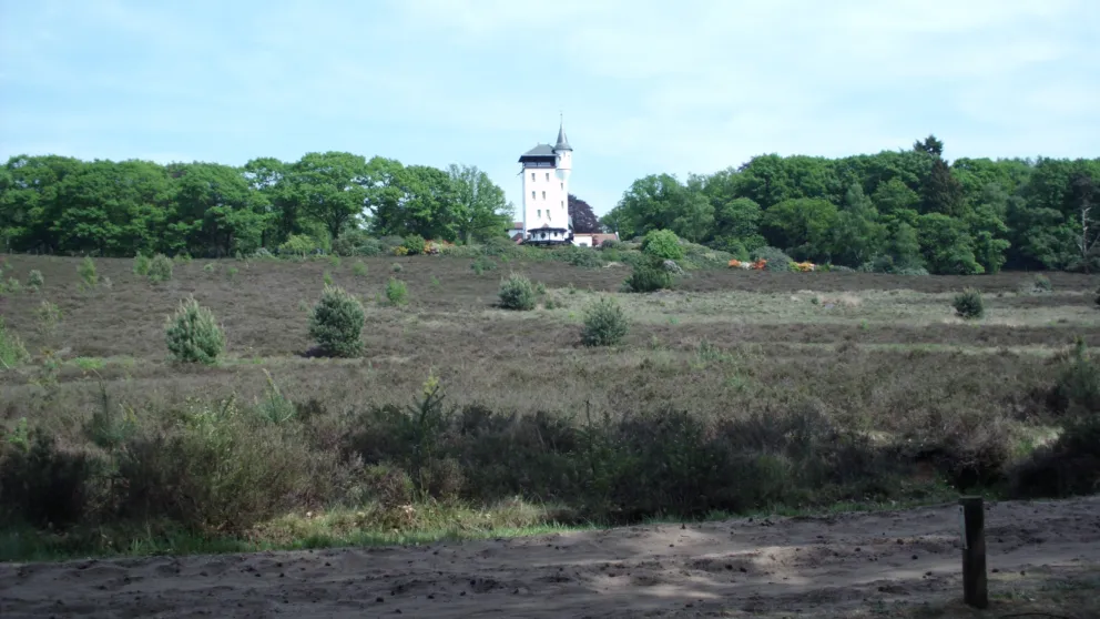 Palthertoren 3